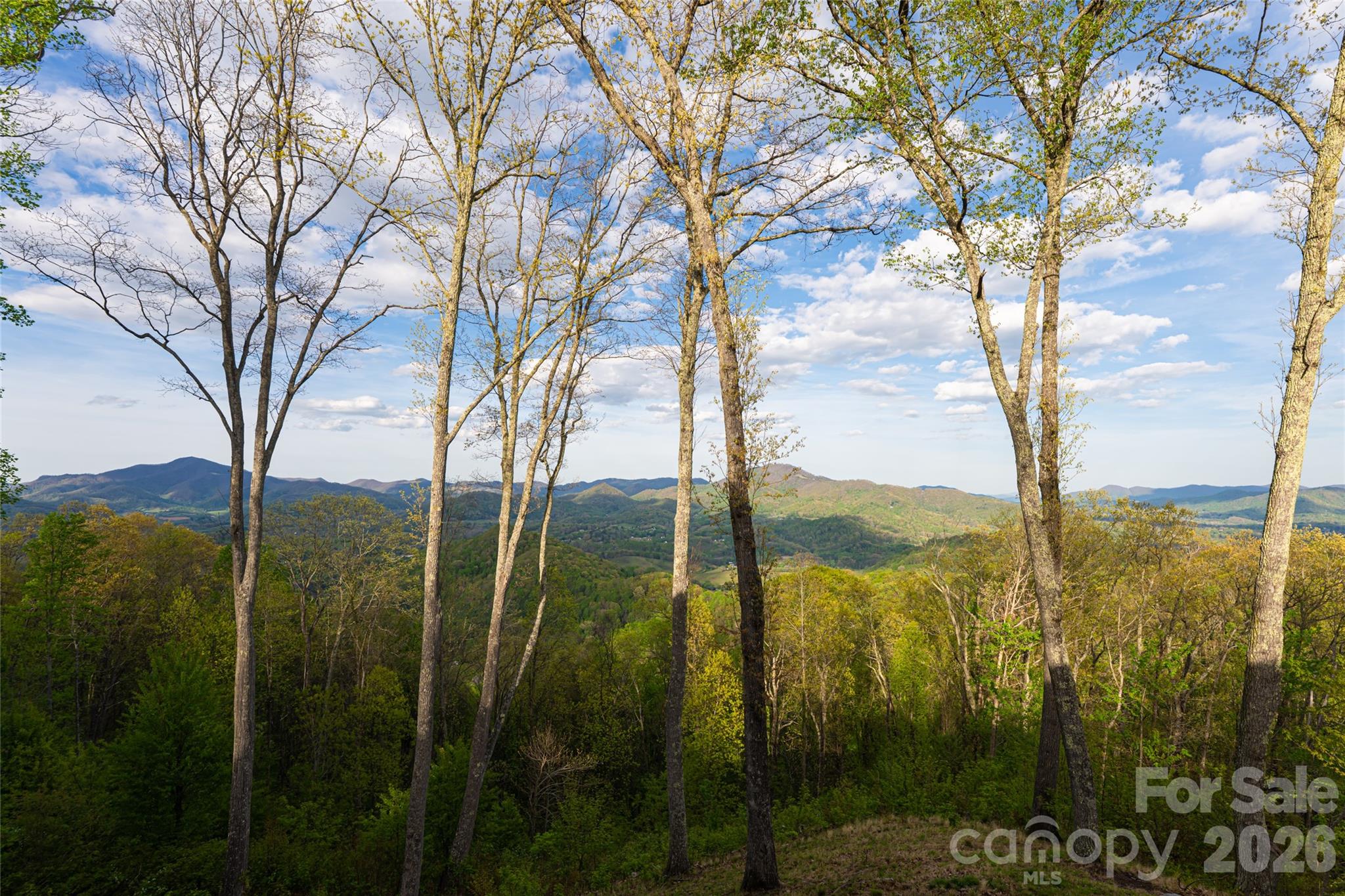 366 Signature Row Boulevard Waynesville NC 28785