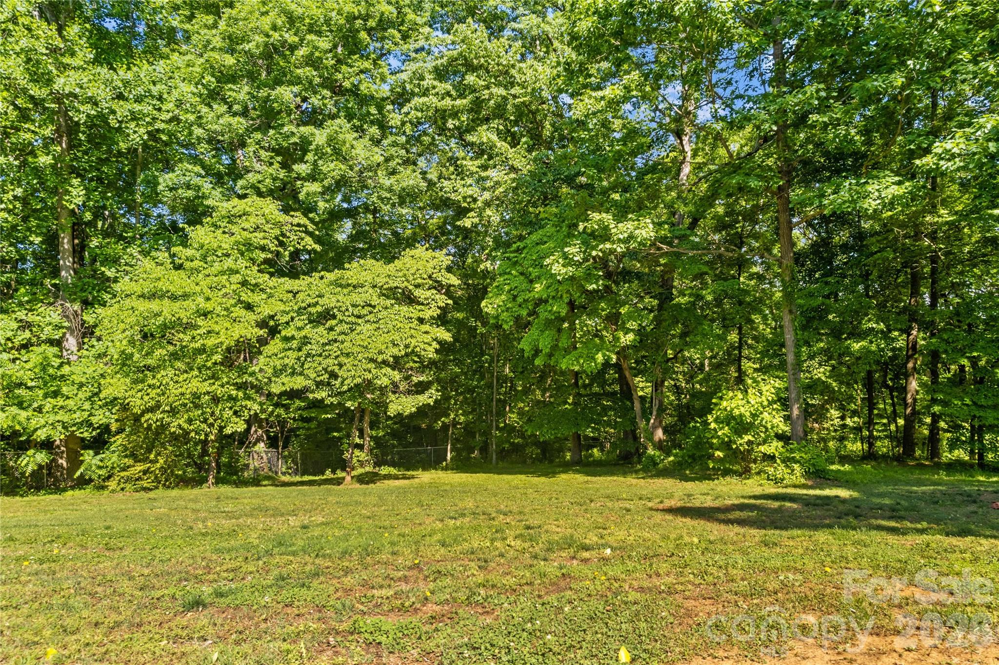 711 Spring Pointe Drive Stony Point NC 28678