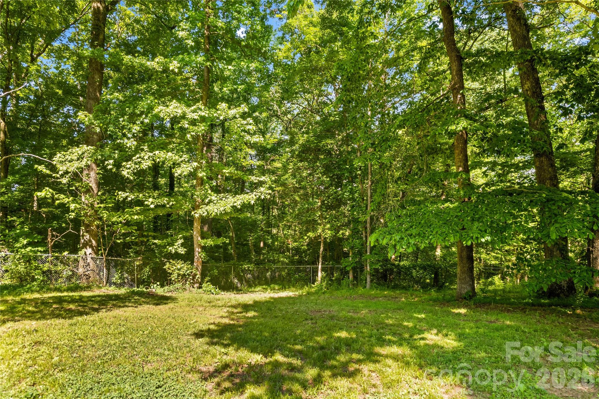 711 Spring Pointe Drive Stony Point NC 28678