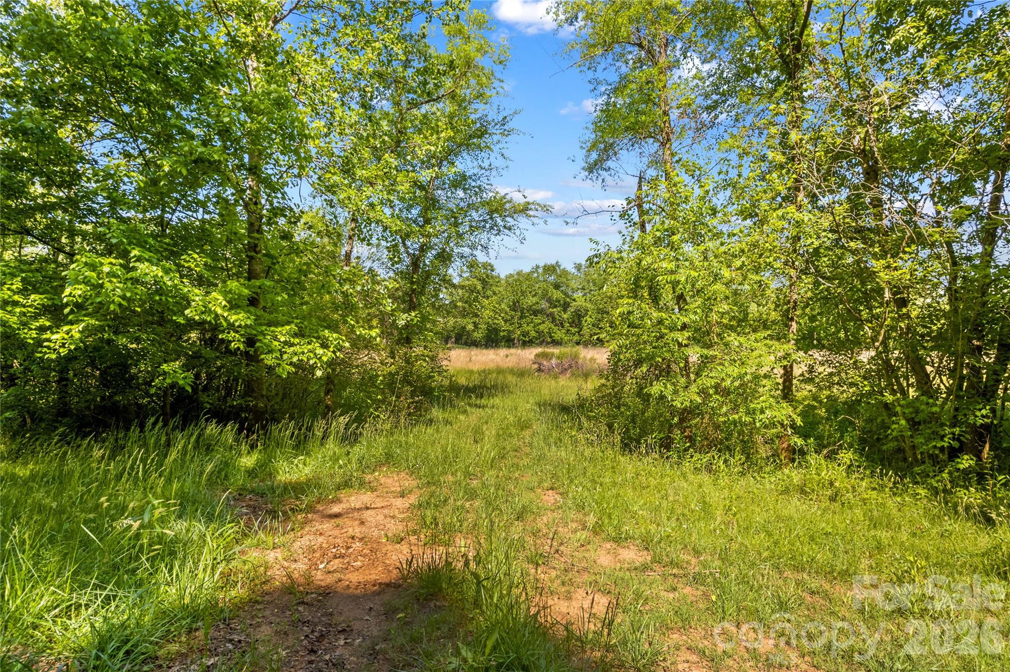 711 Spring Pointe Drive Stony Point NC 28678