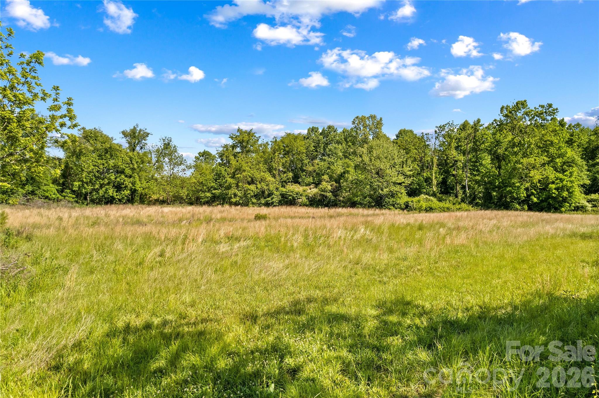 711 Spring Pointe Drive Stony Point NC 28678