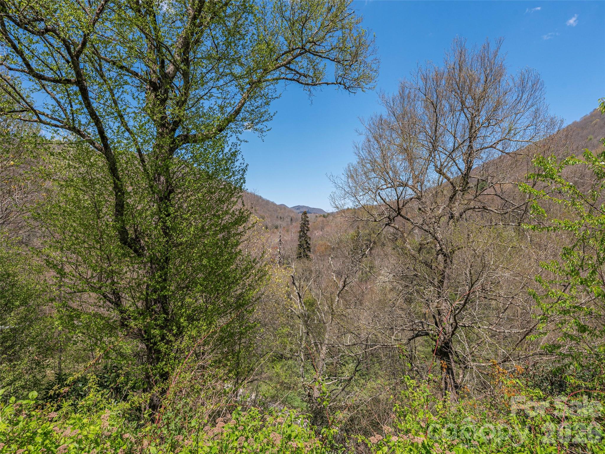 240 Plott Balsam Road Maggie Valley NC 28751