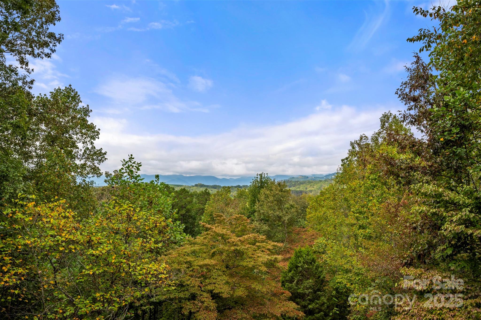 167 Balfour Drive Rutherfordton NC 28139