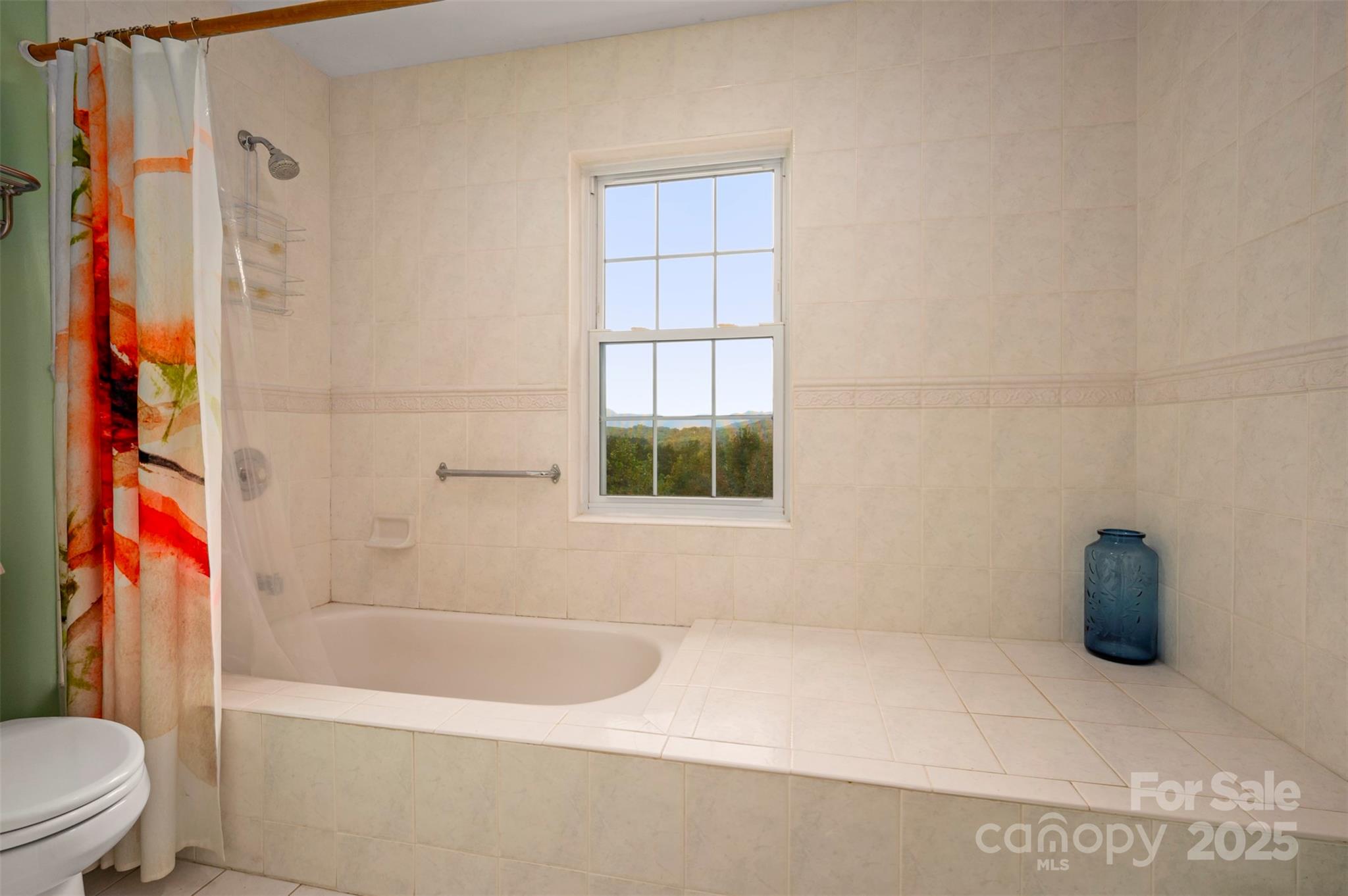 167 Balfour Drive Rutherfordton NC 28139