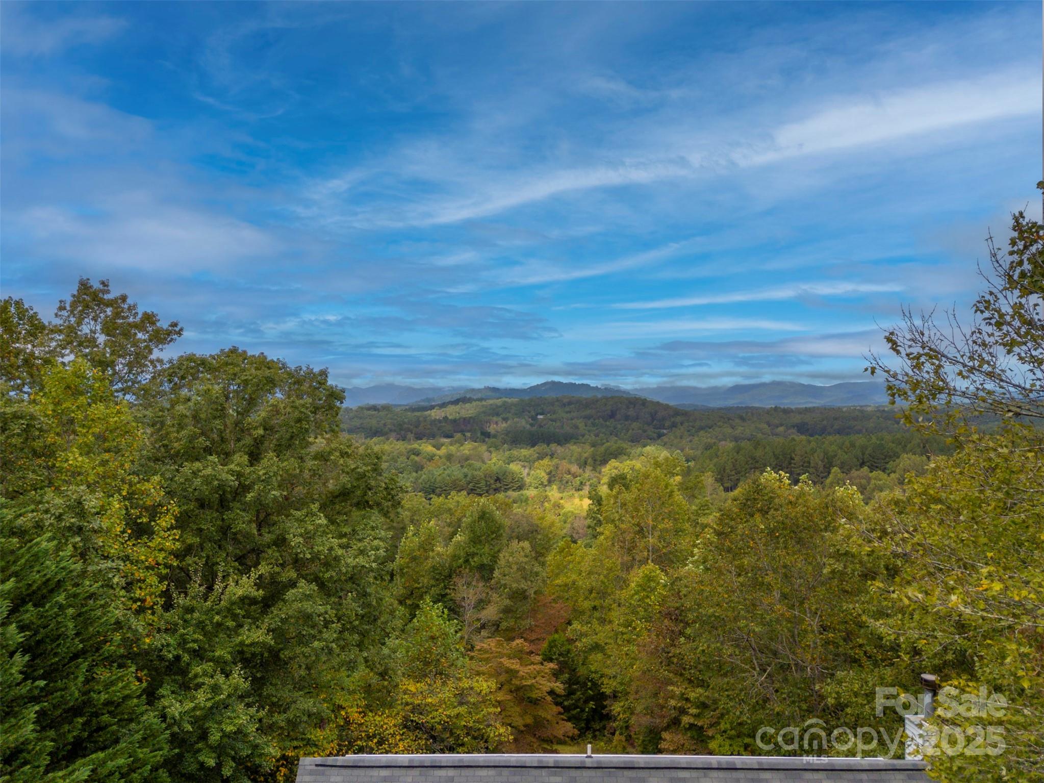 167 Balfour Drive Rutherfordton NC 28139