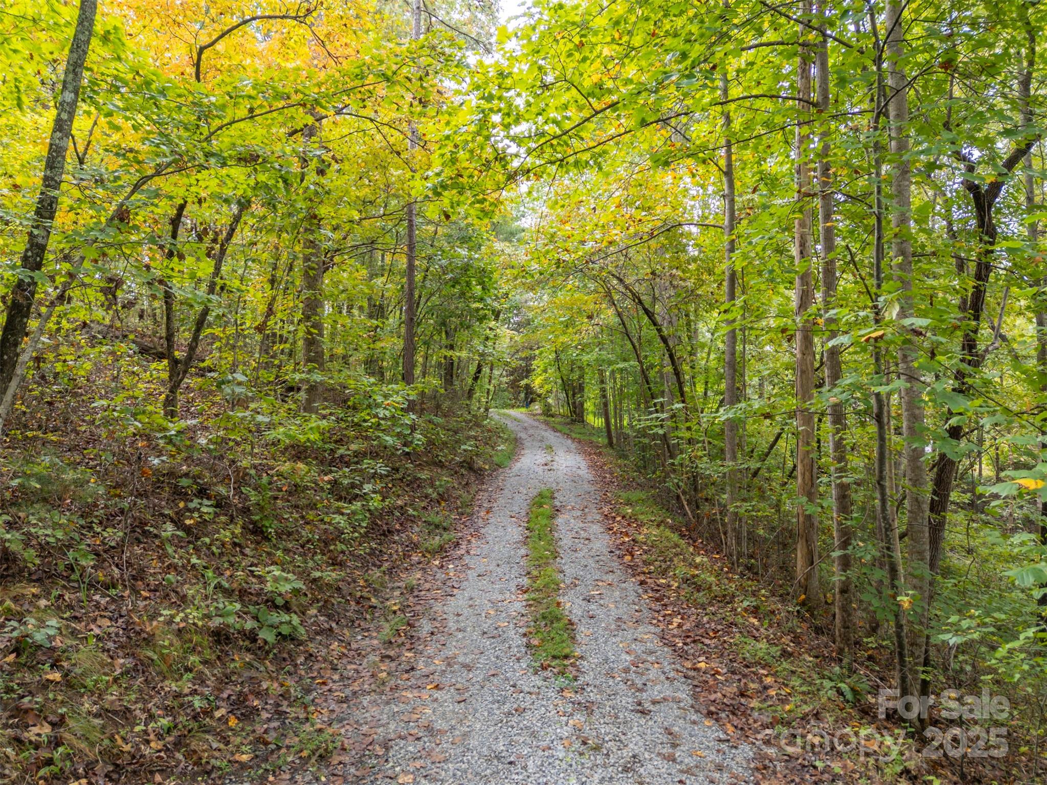 167 Balfour Drive Rutherfordton NC 28139