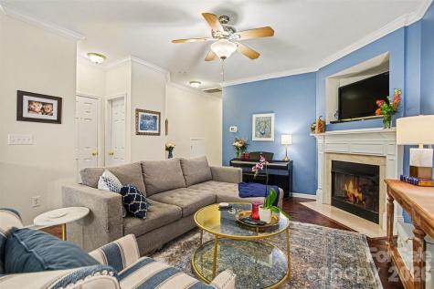 14735 Lions Paw Street Charlotte NC 28273