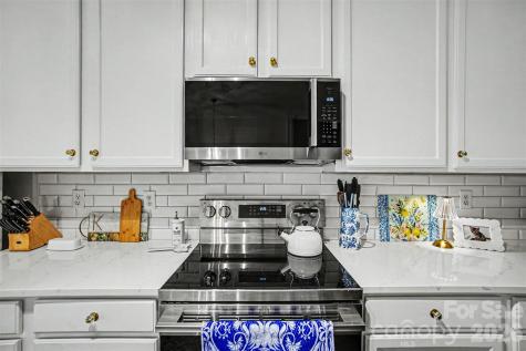 14735 Lions Paw Street Charlotte NC 28273