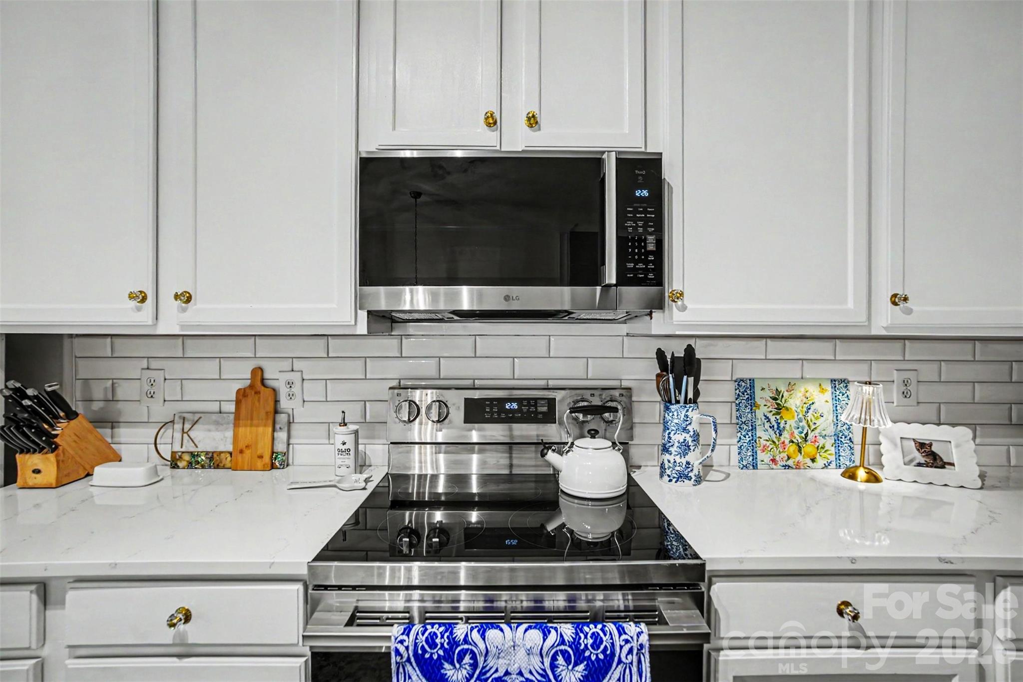 14735 Lions Paw Street Charlotte NC 28273