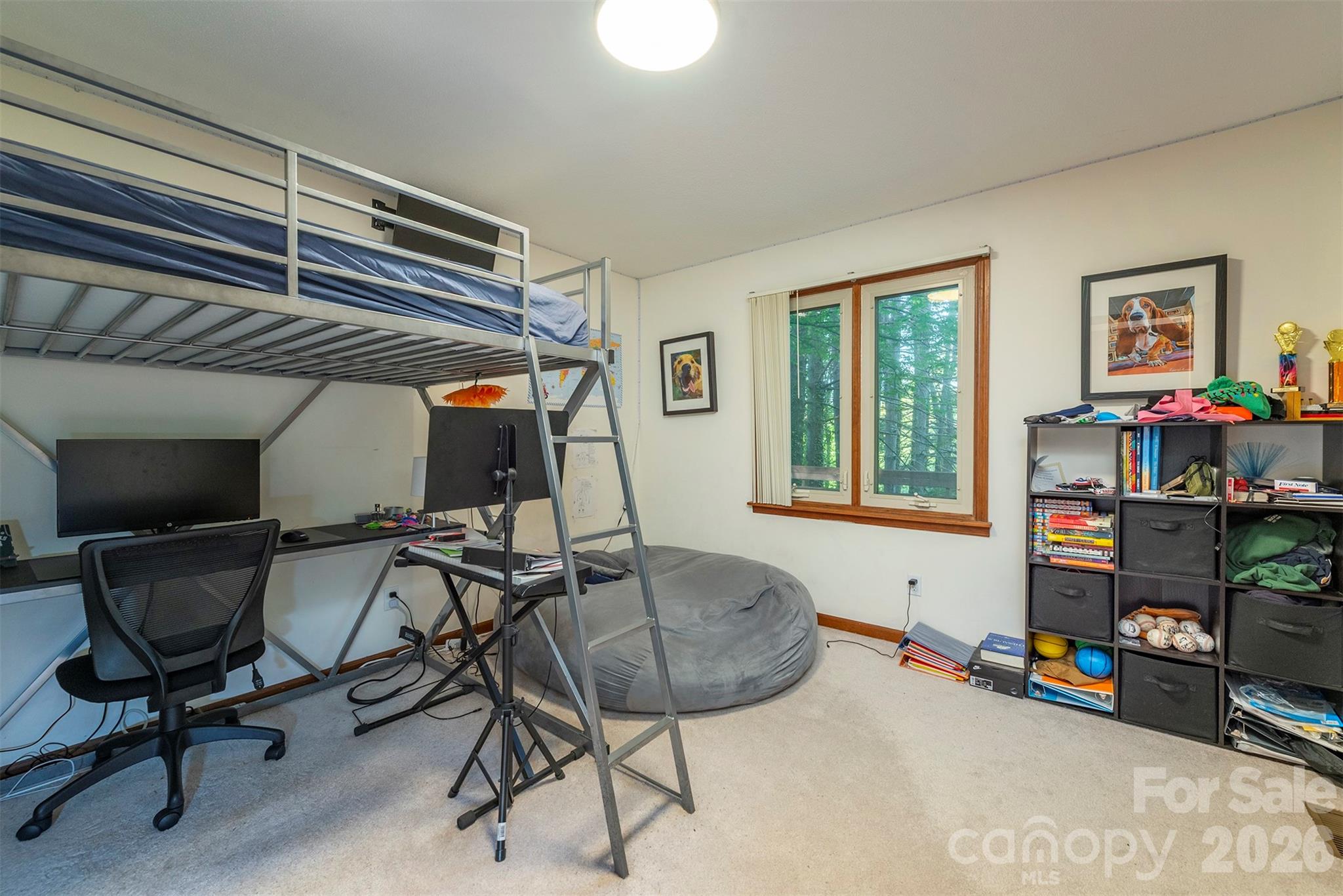 58 Ballantree Drive Asheville NC 28803