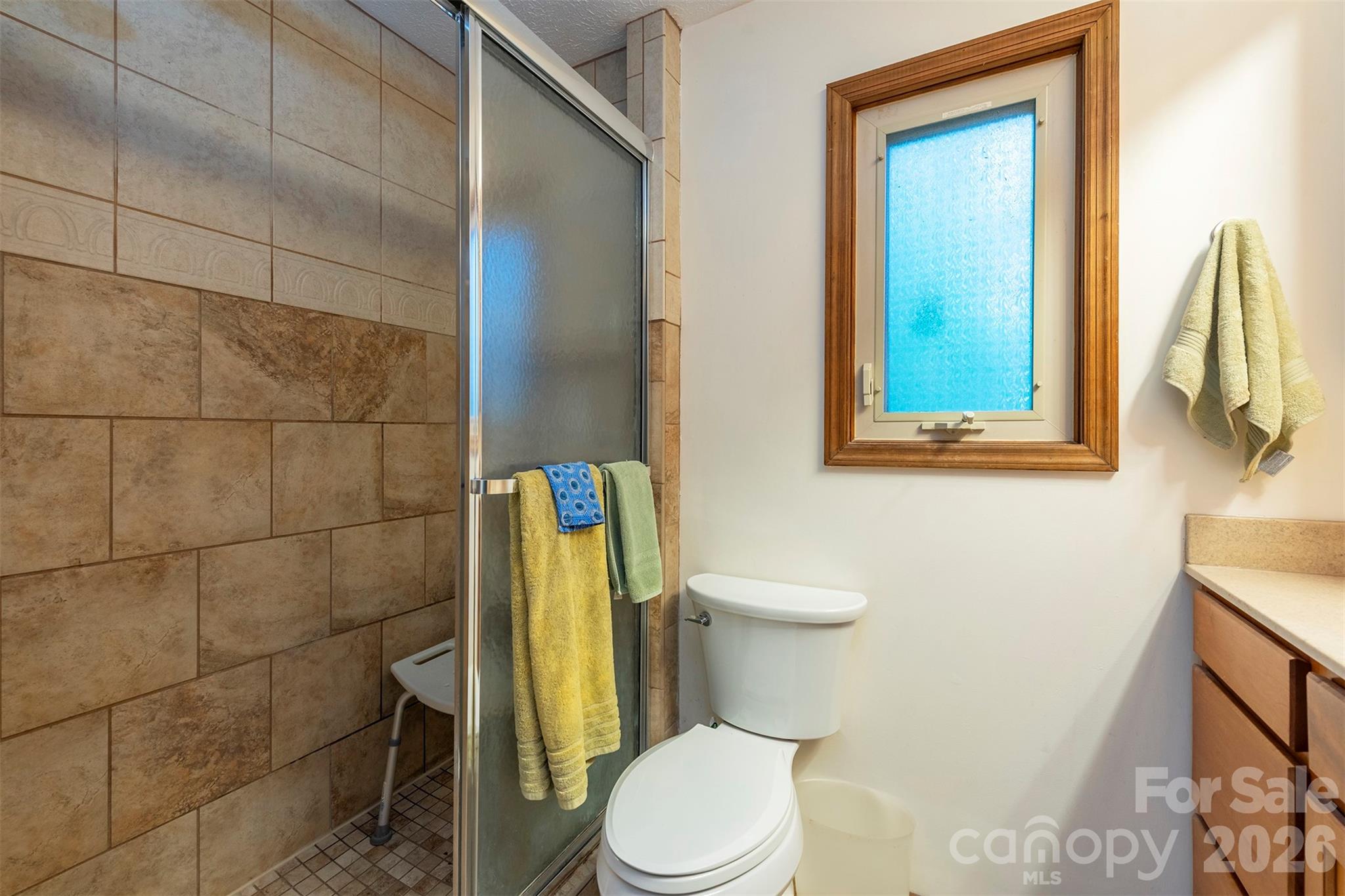 58 Ballantree Drive Asheville NC 28803