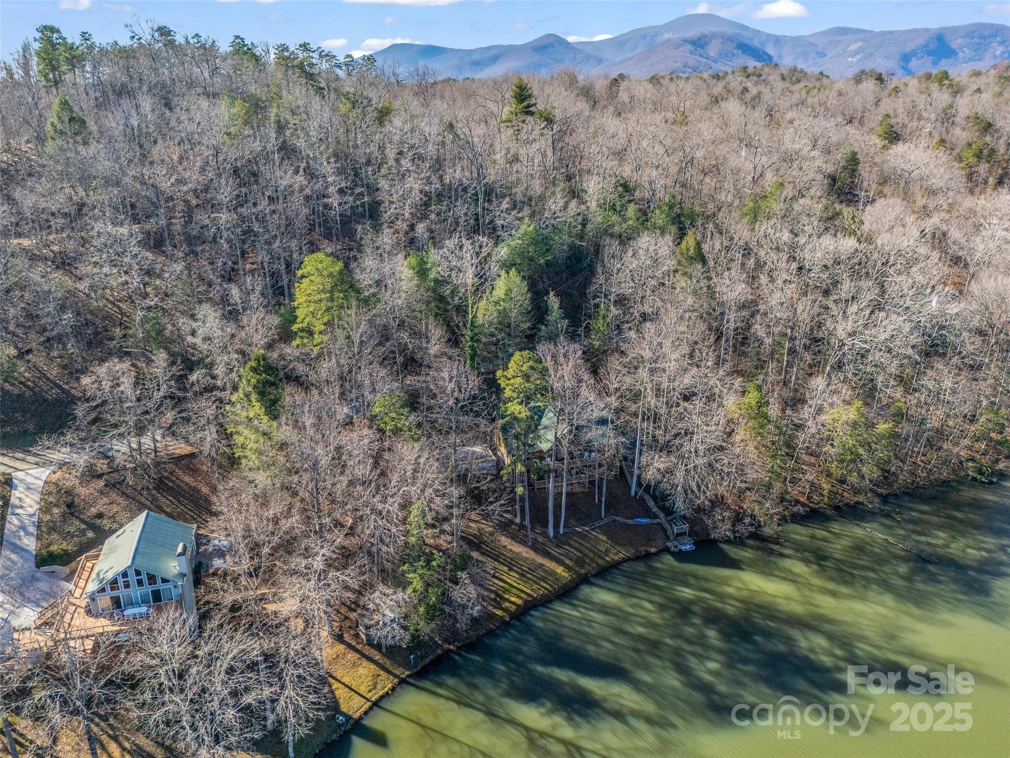 446 Rainbow Circle Lake Lure NC 28746