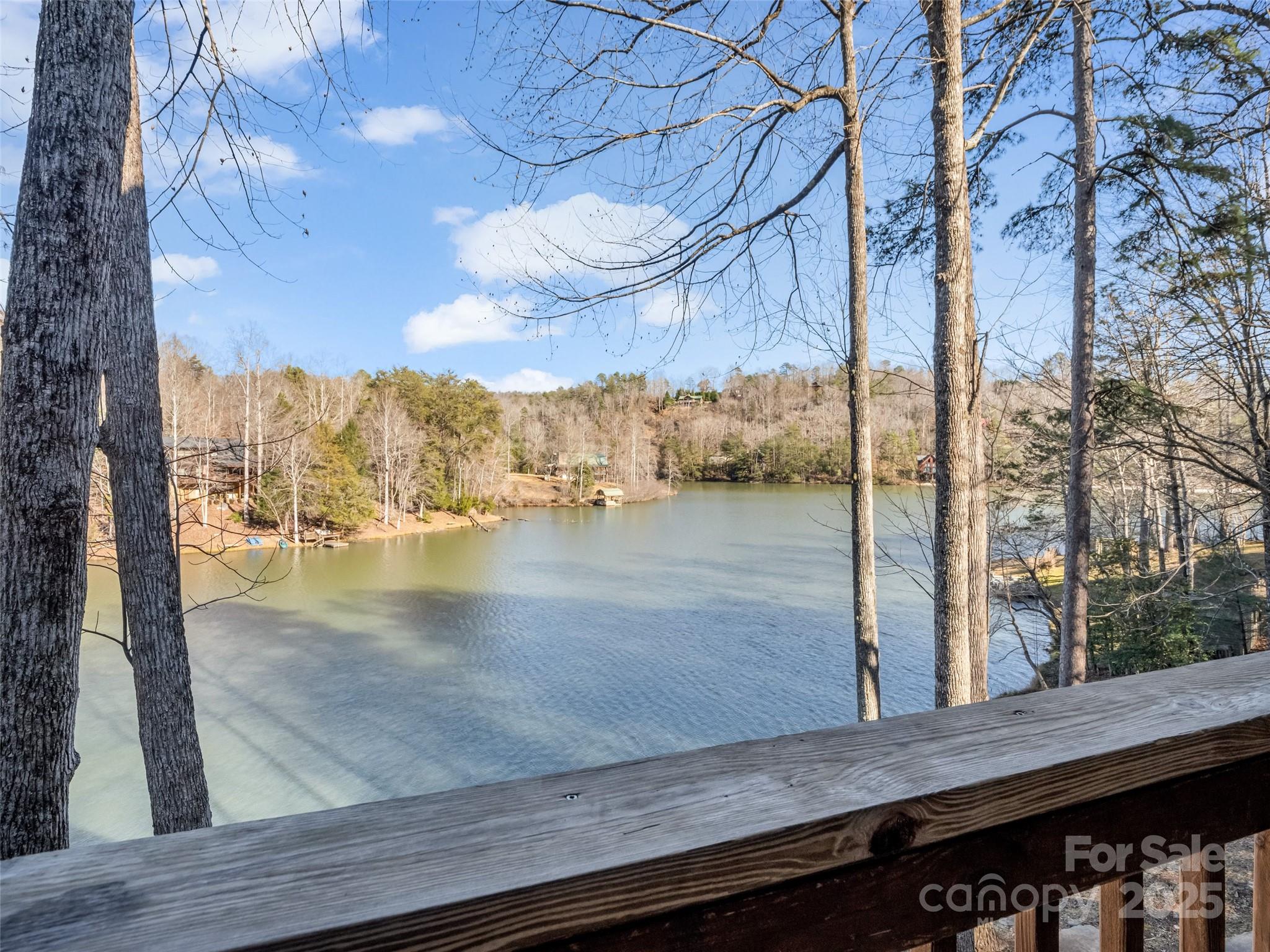 446 Rainbow Circle Lake Lure NC 28746