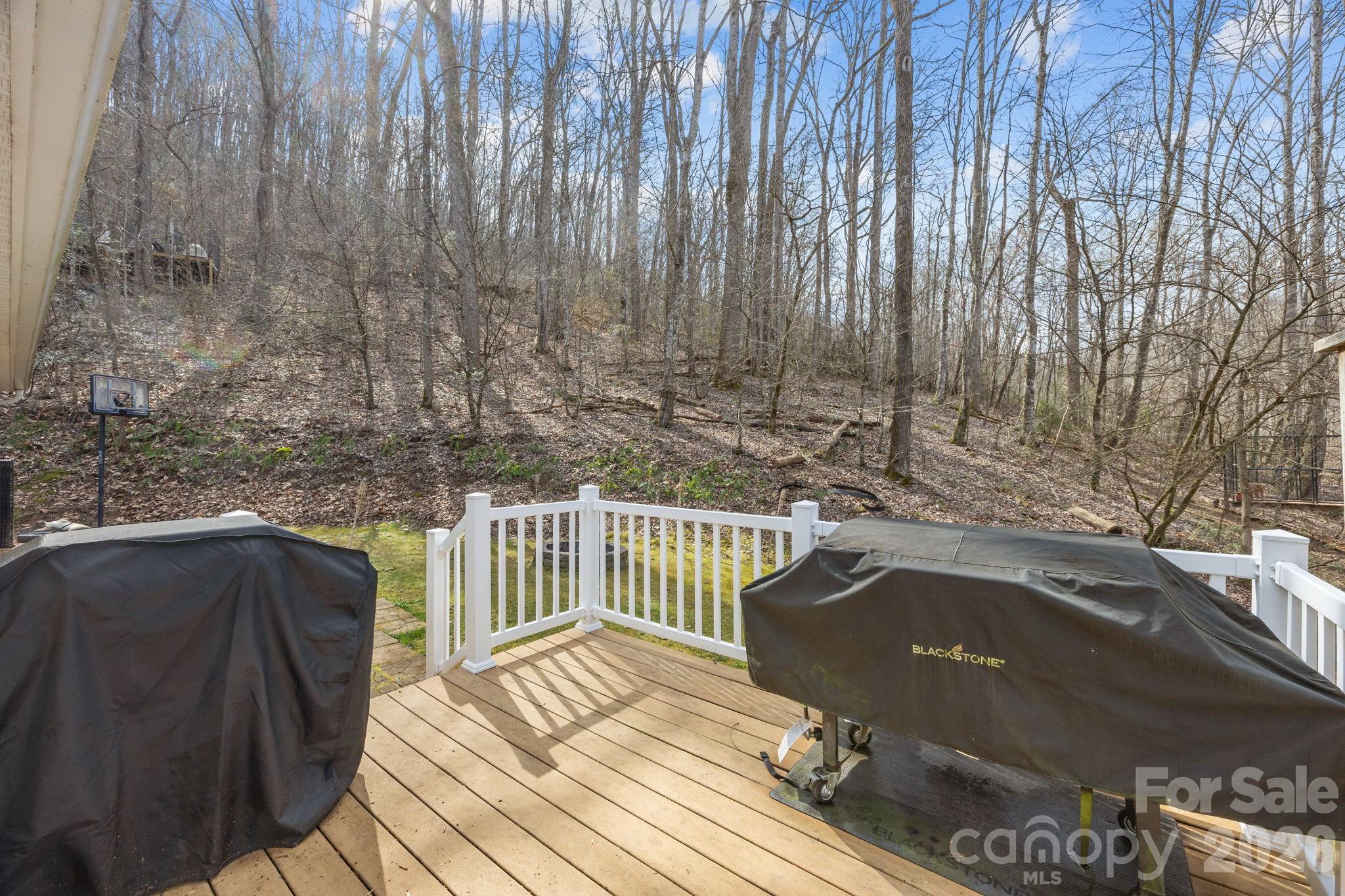 400 Honey Locust Trail Whittier NC 28789