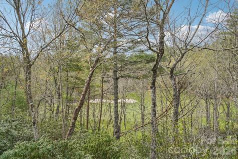 304 Pine Forest Trace Hendersonville NC 28739
