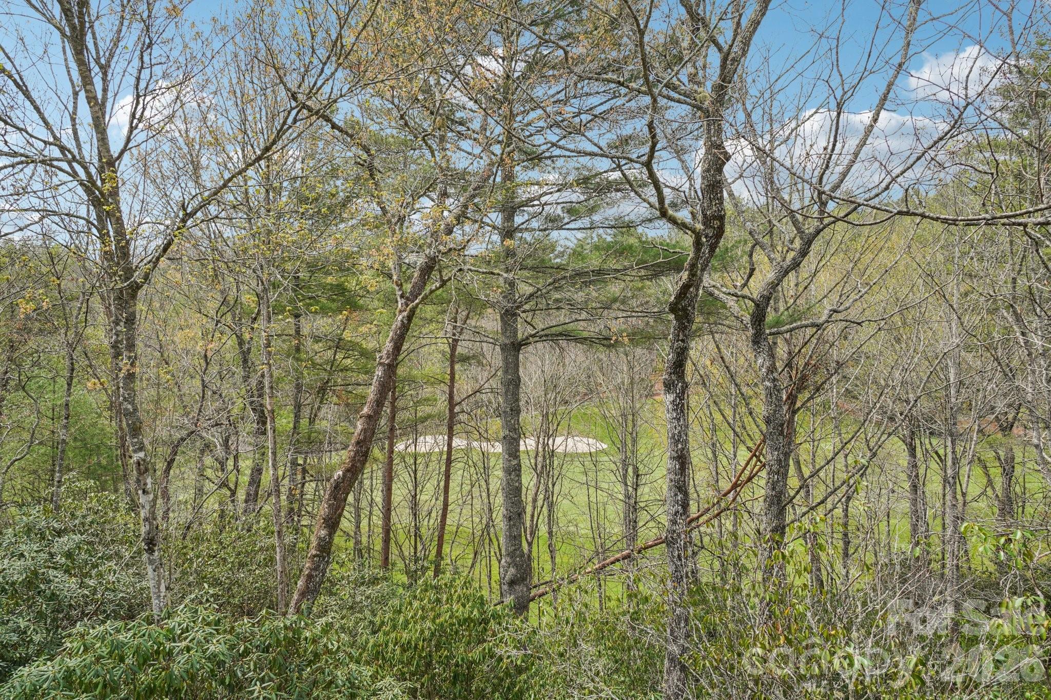 304 Pine Forest Trace Hendersonville NC 28739