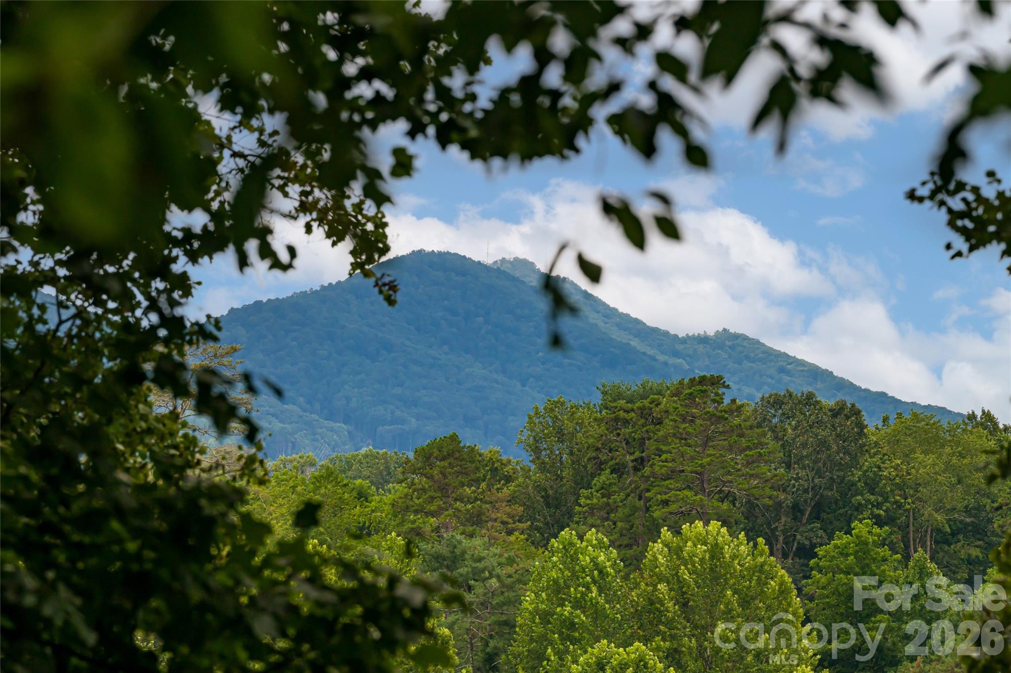 7 Bee Balm Way Asheville NC 28804