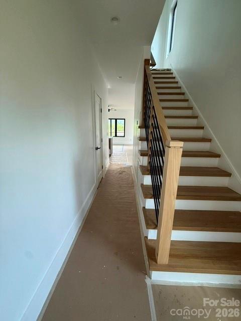 3 Locust Street Asheville NC 28804