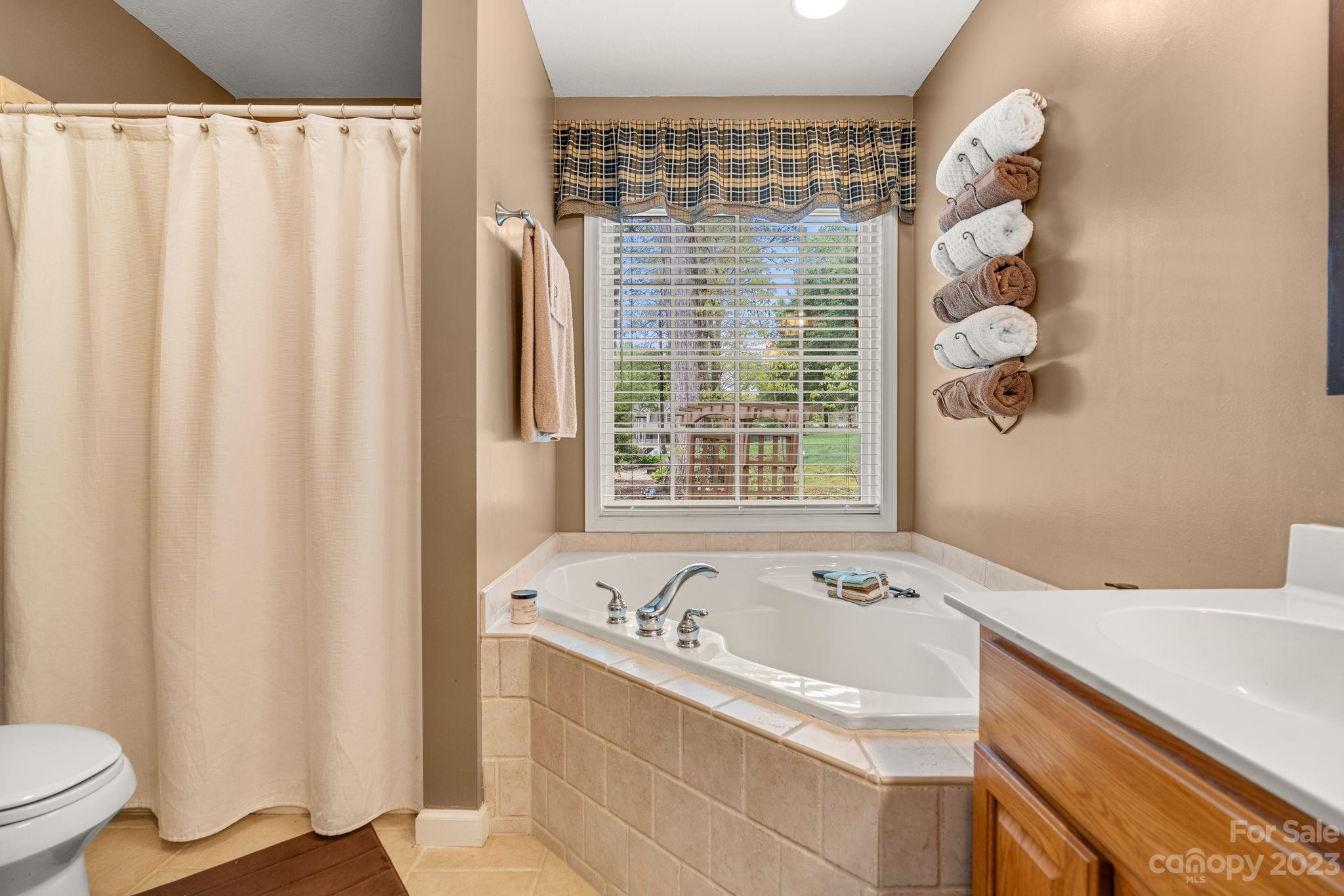 25 Brierfield Drive Candler NC 28715