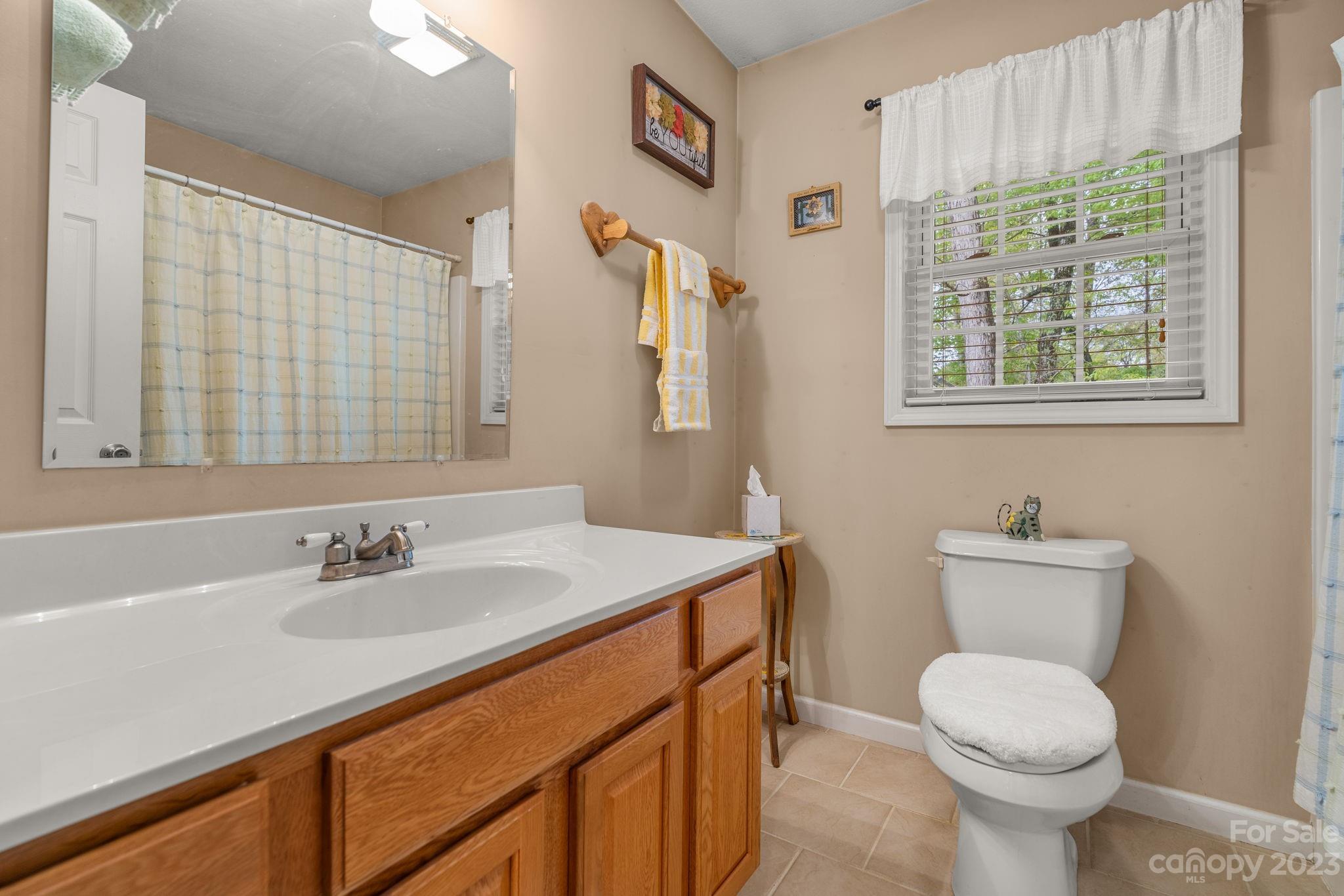 25 Brierfield Drive Candler NC 28715