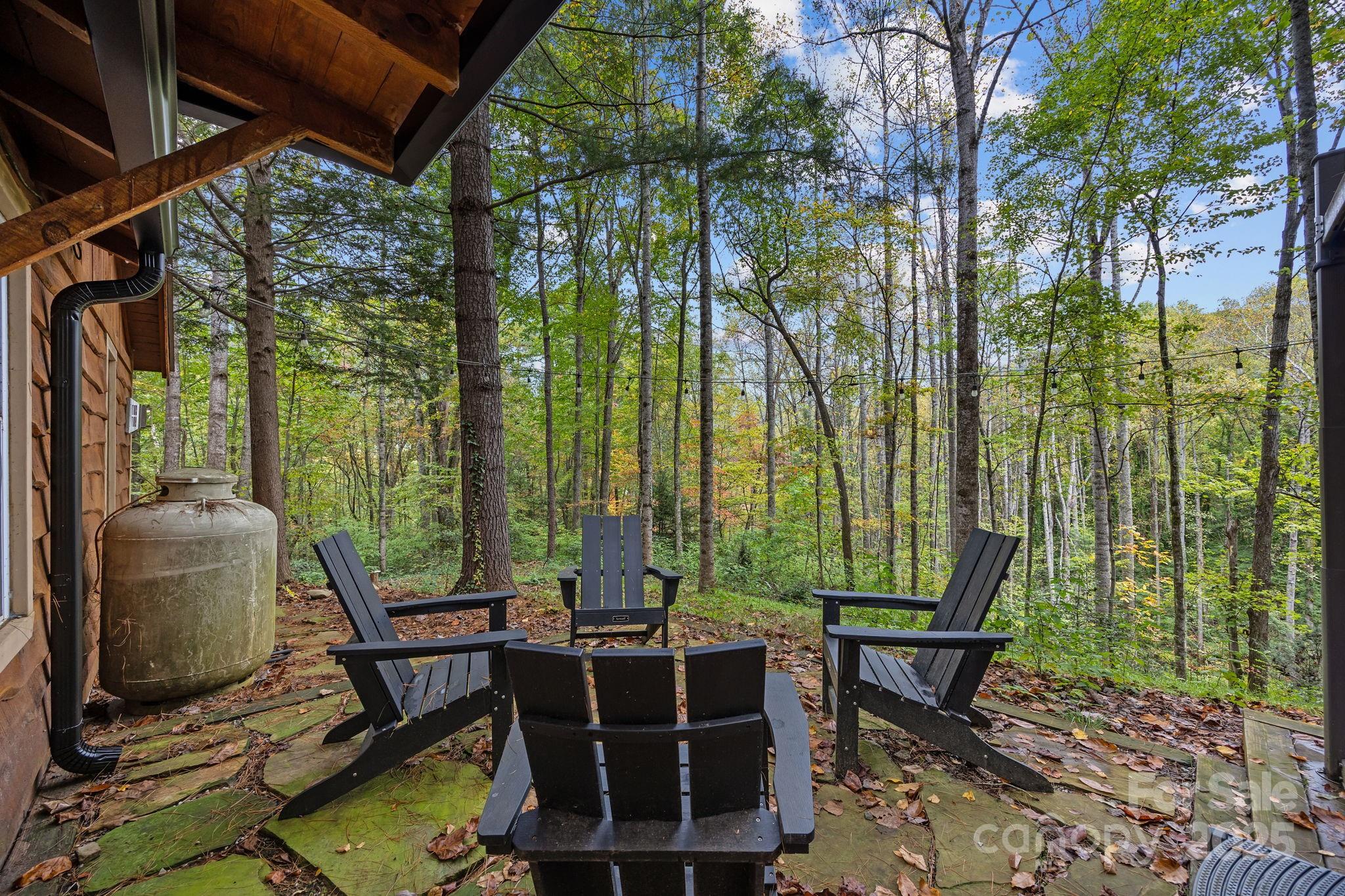 52 Western View Street Black Mountain NC 28711