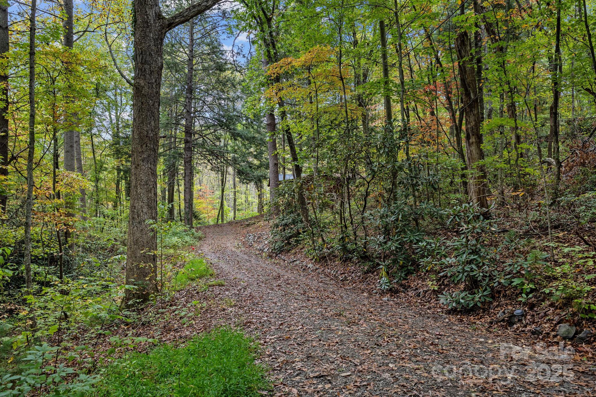 52 Western View Street Black Mountain NC 28711