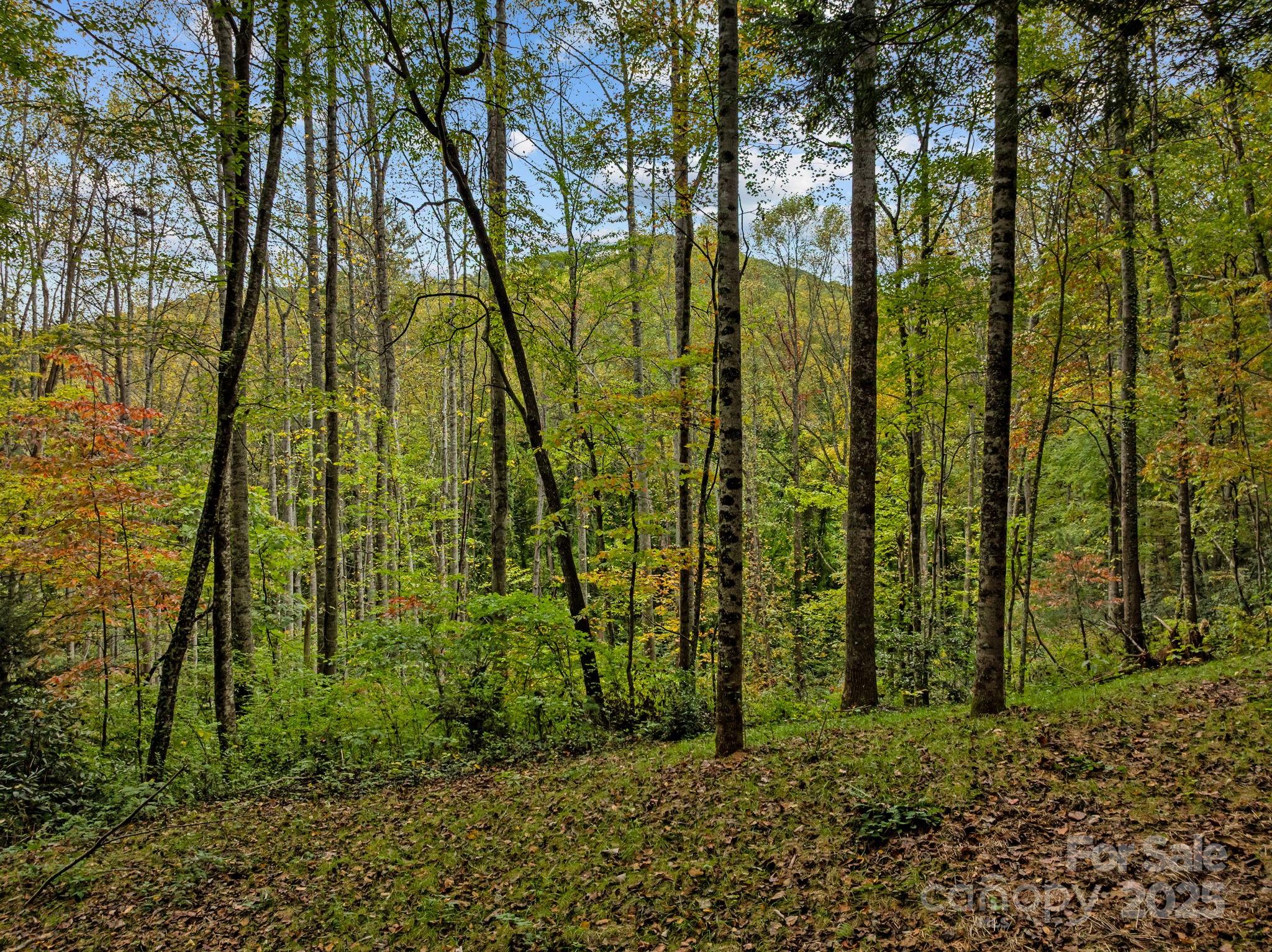 52 Western View Street Black Mountain NC 28711