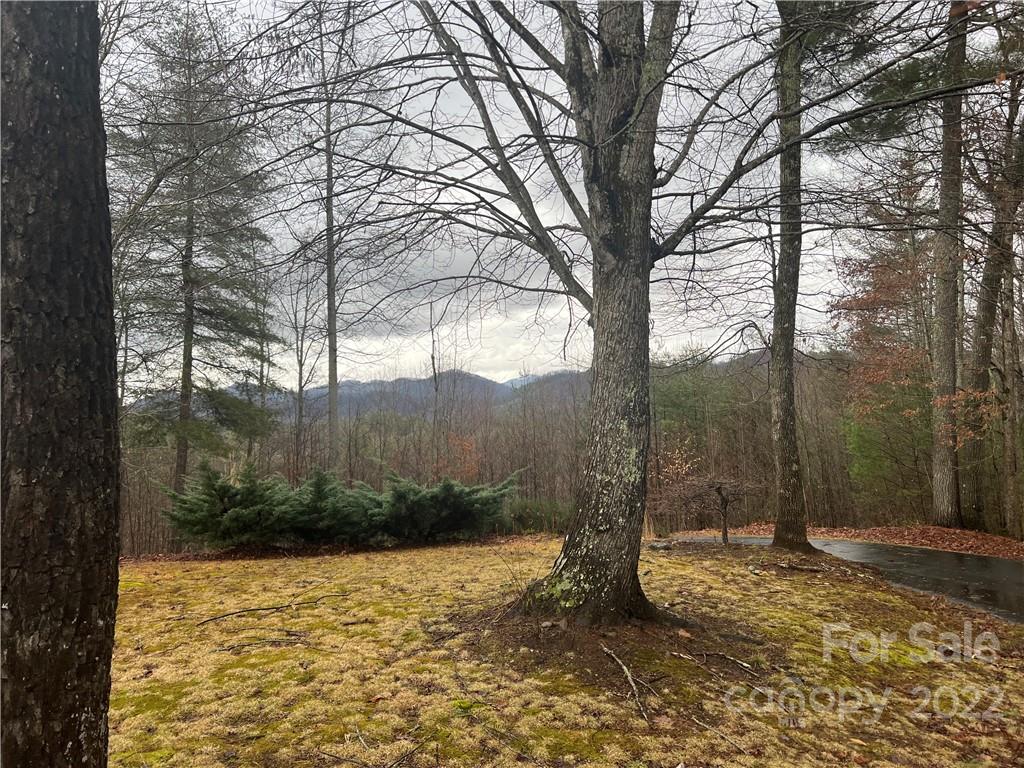 649 Upper Bailey Branch Road Mars Hill NC 28754