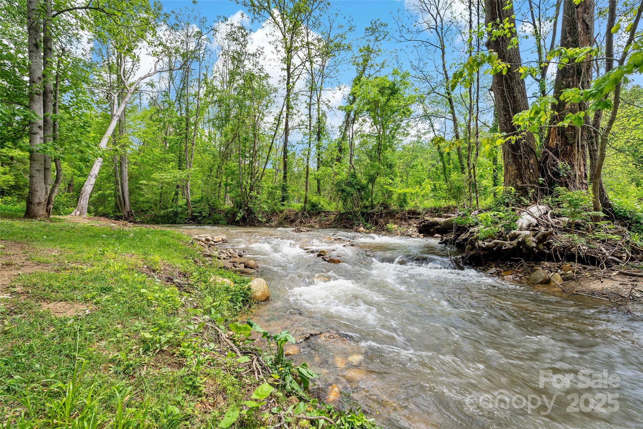 25 Village Parkway Black Mountain NC 28711