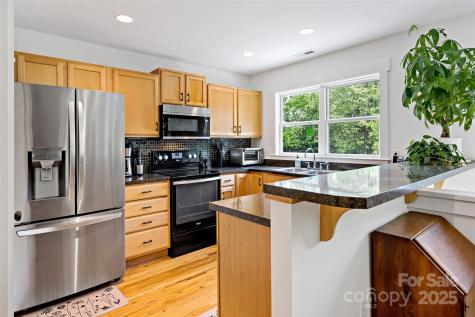 24 Browndale Road Asheville NC 28805