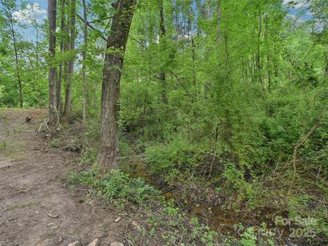 51 Sunset Drive Asheville NC 28806