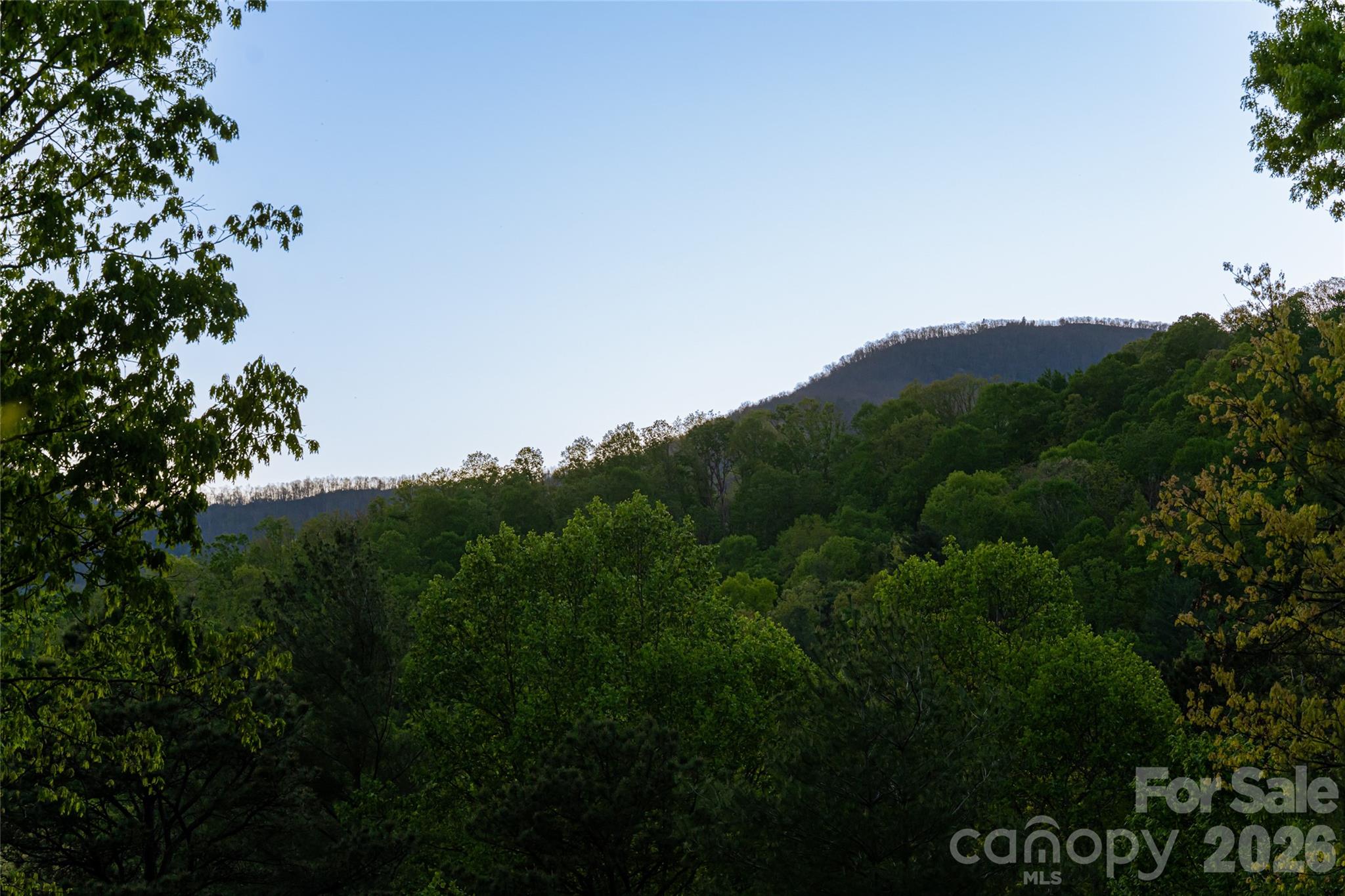2159 North Fork Right Fork Road Black Mountain NC 28711