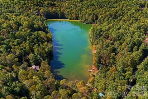 206 Willow Lane Rosman NC 28772