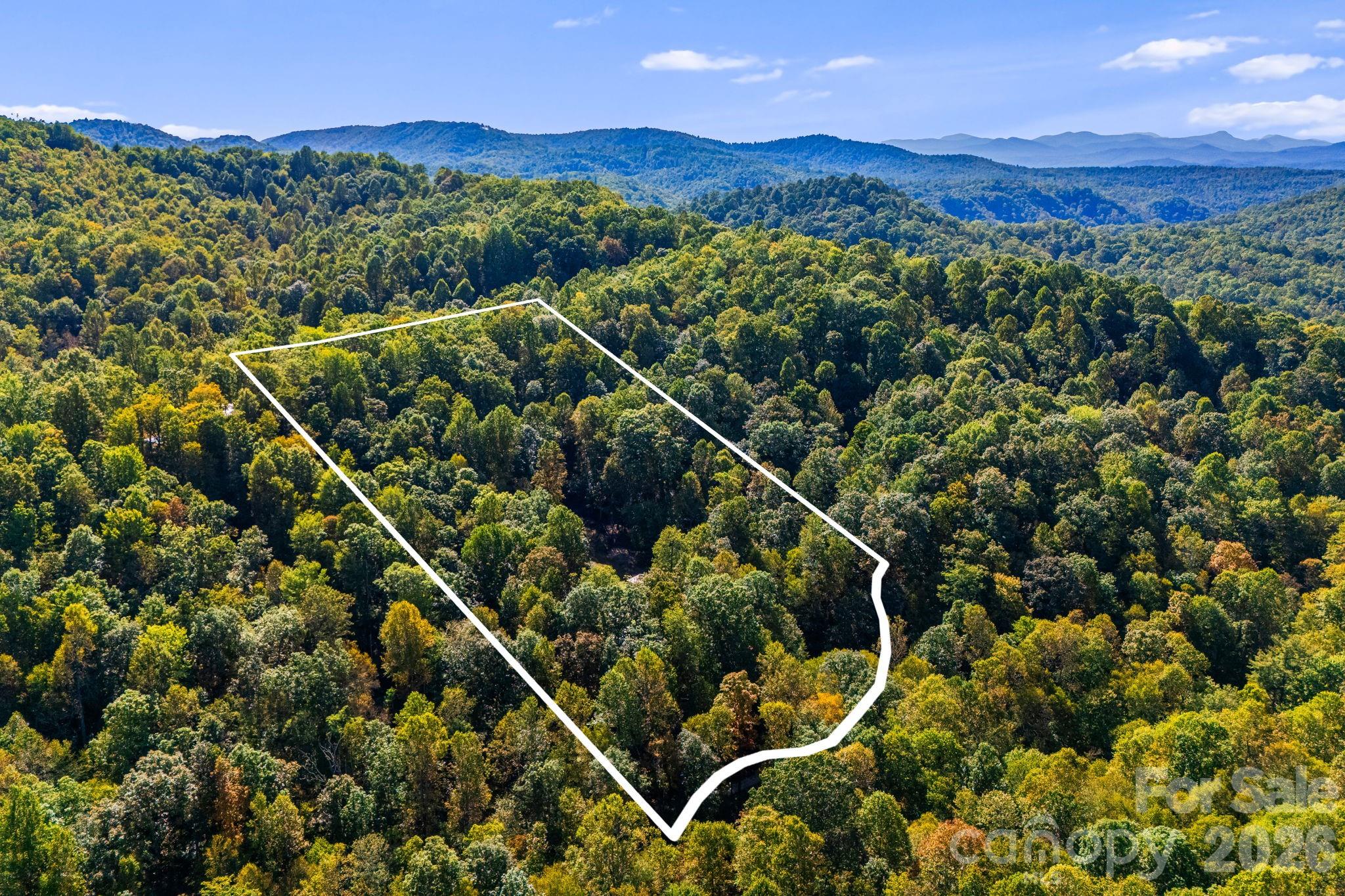 206 Willow Lane Rosman NC 28772