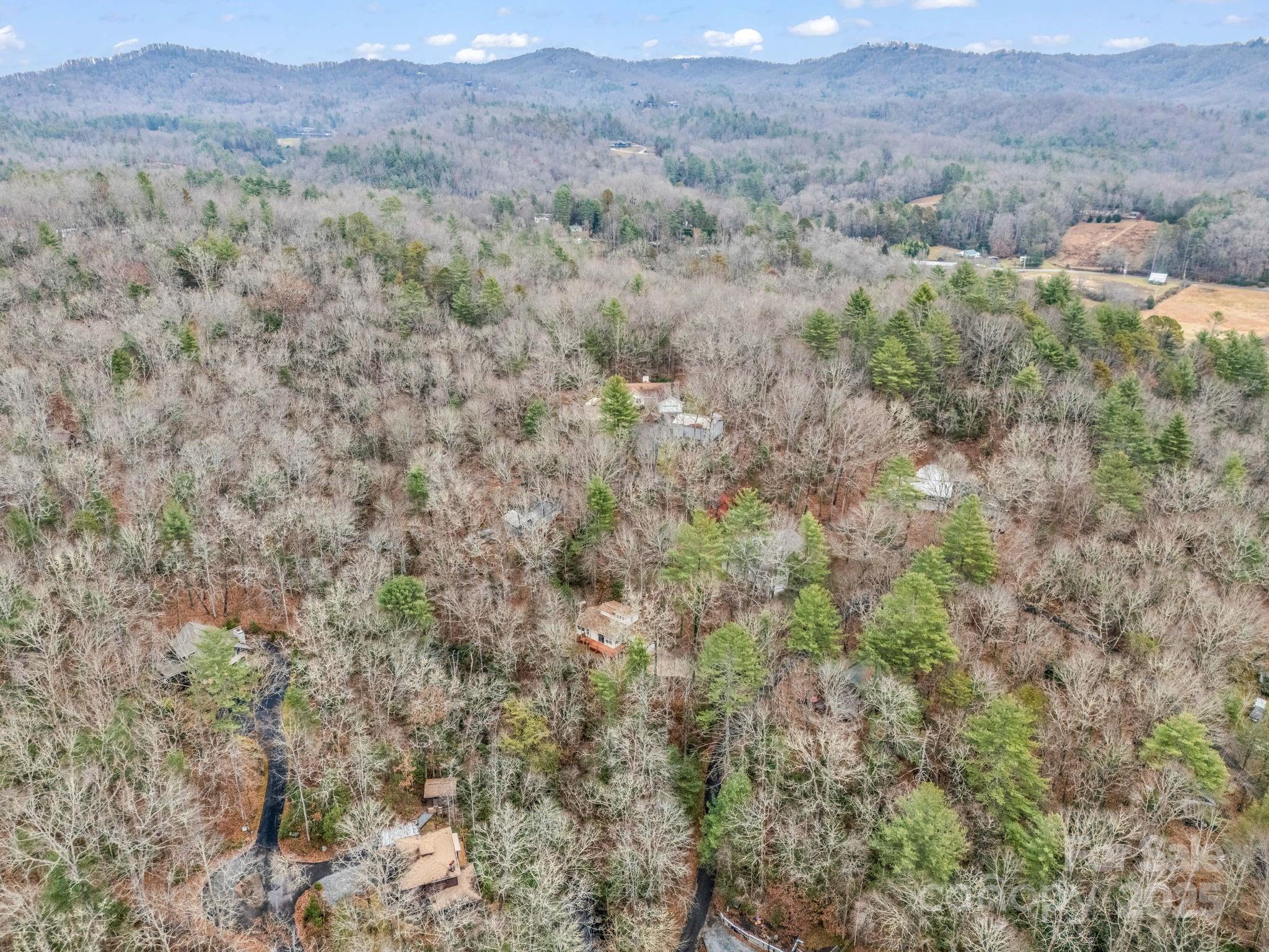38 Renea Drive Brevard NC 28712