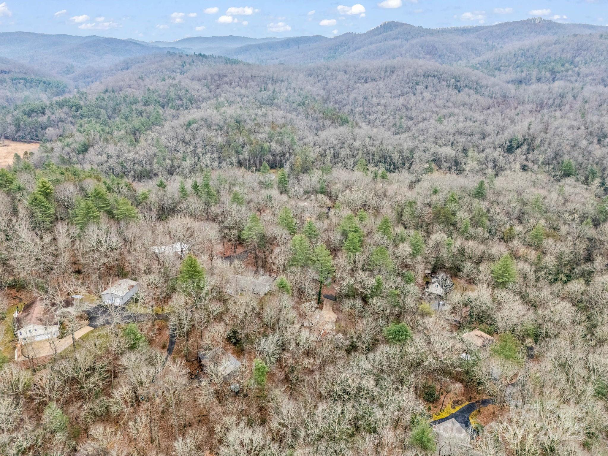 38 Renea Drive Brevard NC 28712
