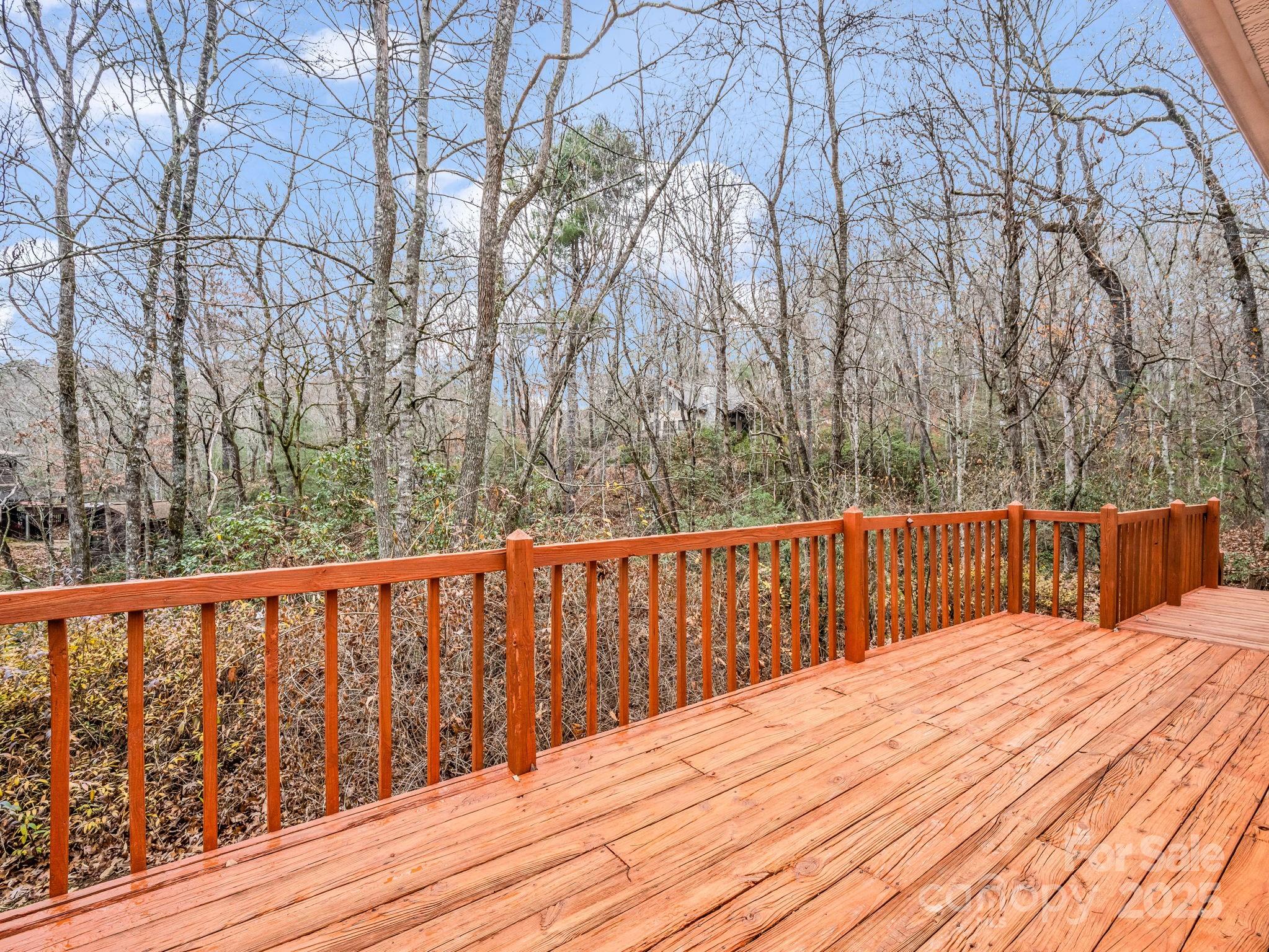 38 Renea Drive Brevard NC 28712