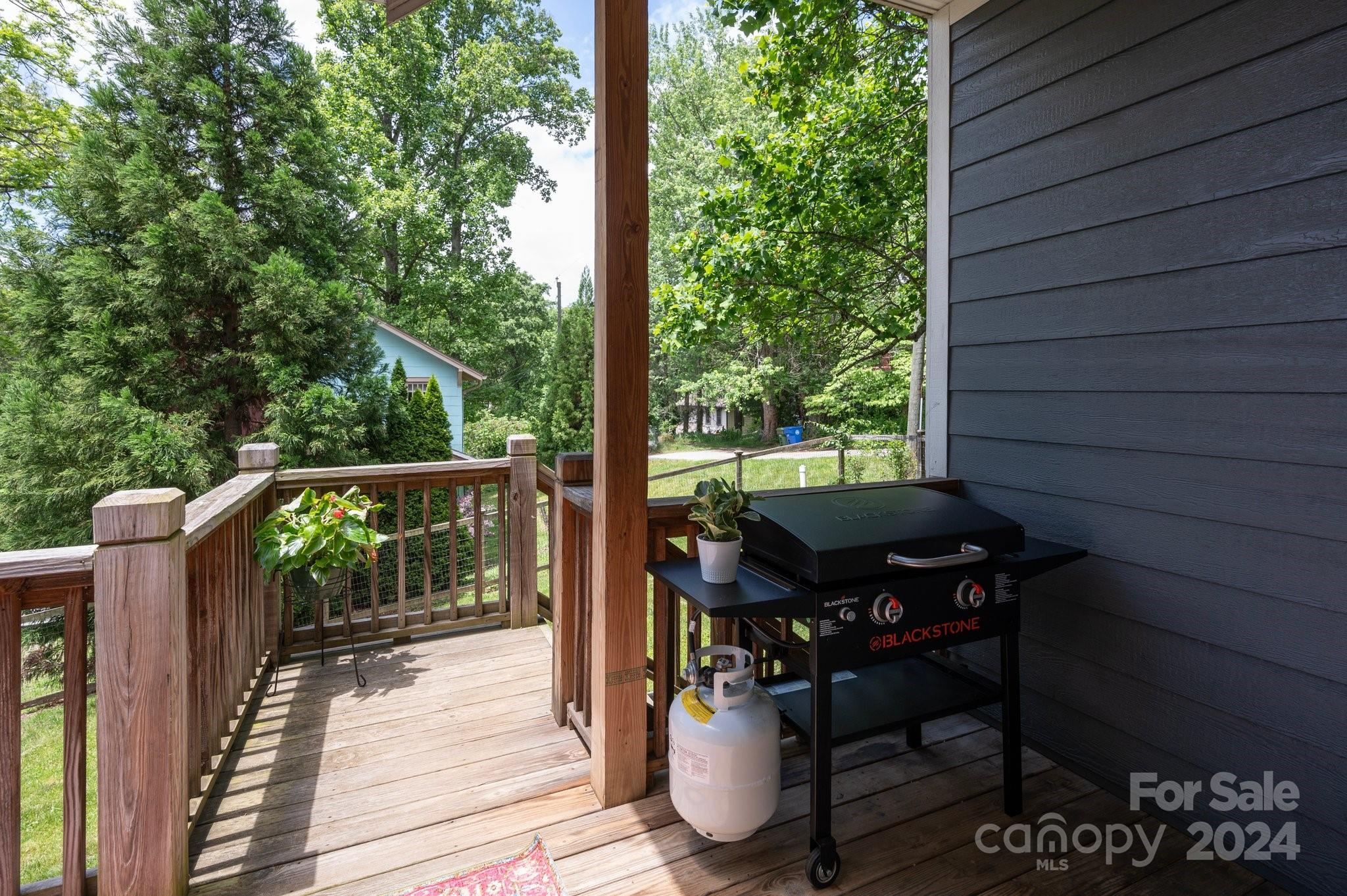 98 Barnard Avenue Asheville NC 28804