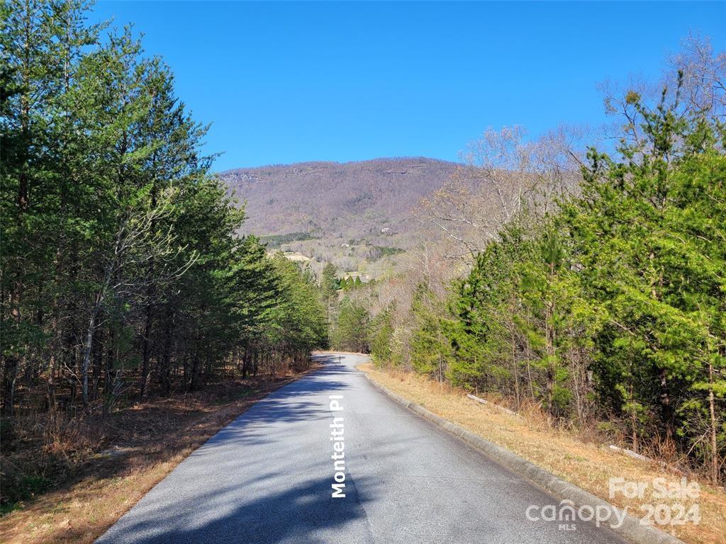 25 Monteith Place Mill Spring NC 28756