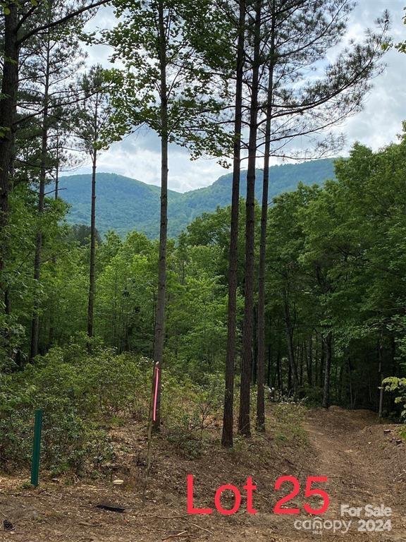 25 Monteith Place Mill Spring NC 28756
