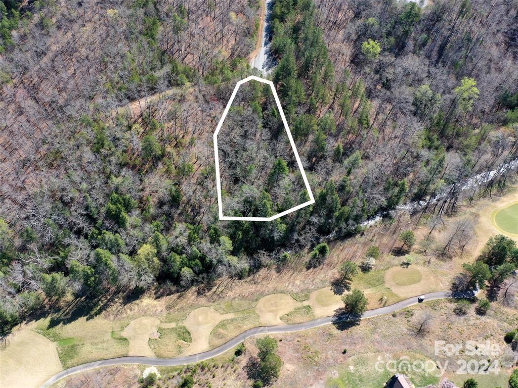 25 Monteith Place Mill Spring NC 28756