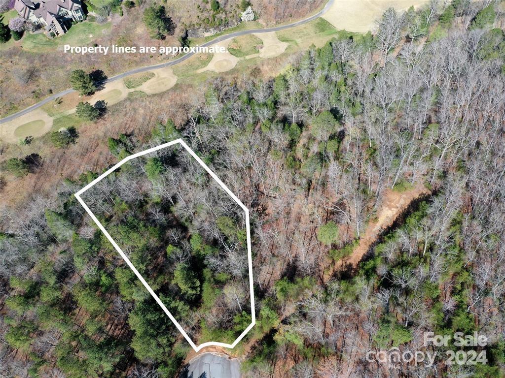 25 Monteith Place Mill Spring NC 28756