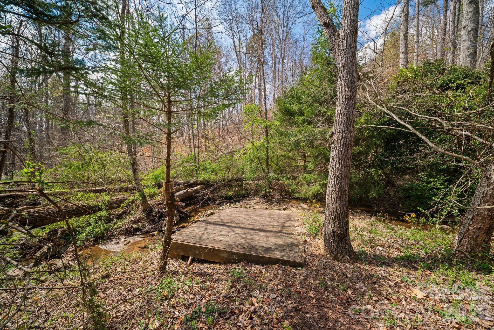104 Black Hawk Ridge Weaverville NC 28787
