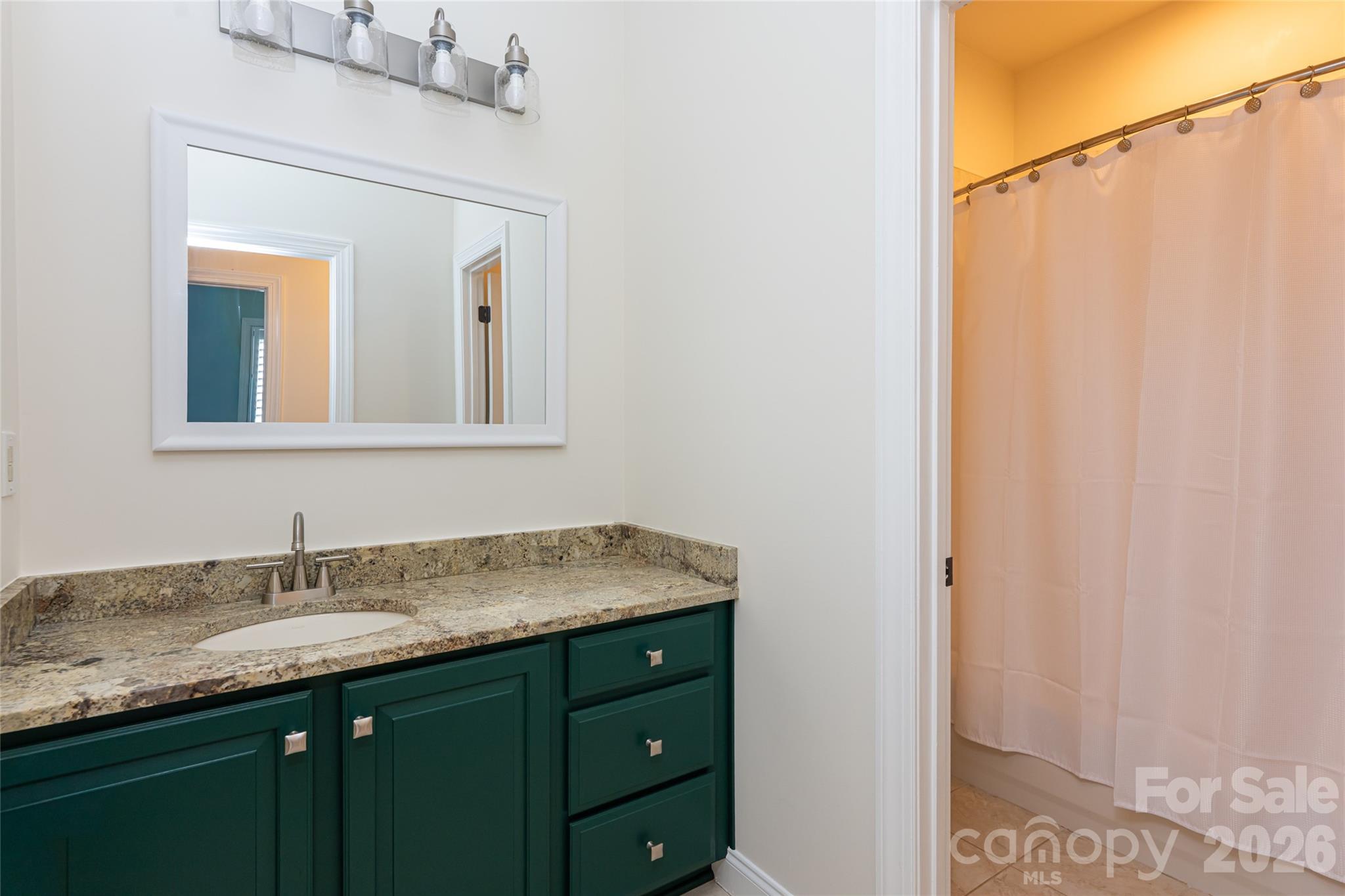 9 Rosebay Lane Asheville NC 28803