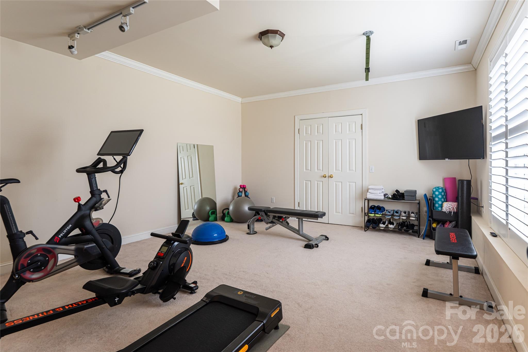 9 Rosebay Lane Asheville NC 28803