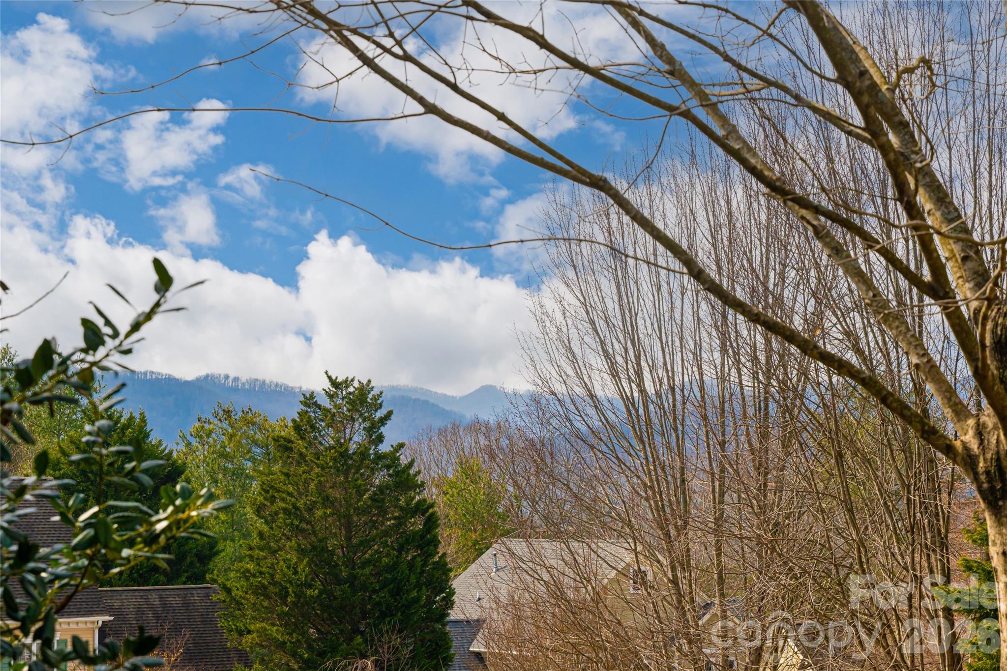 9 Rosebay Lane Asheville NC 28803