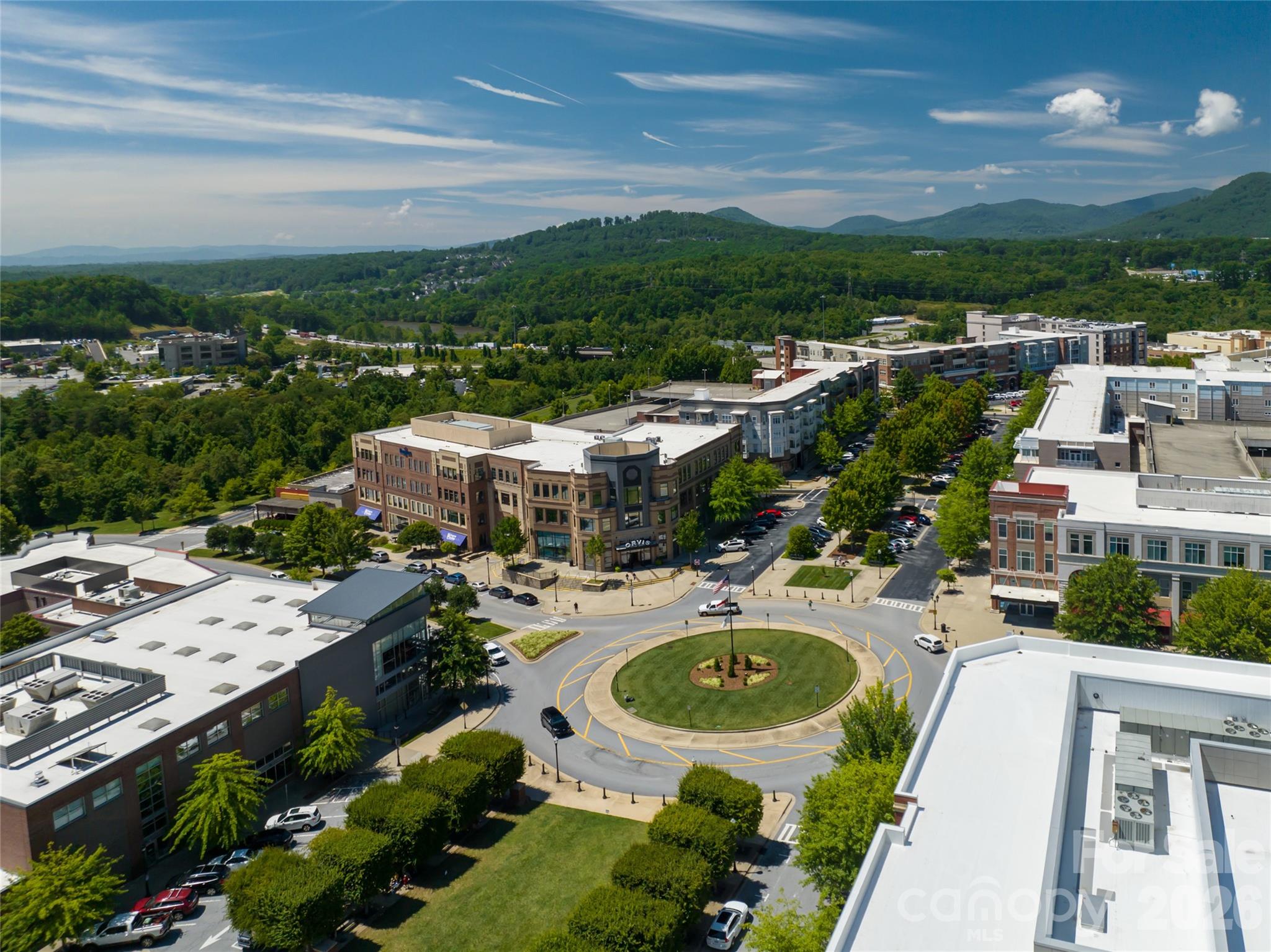 9 Rosebay Lane Asheville NC 28803