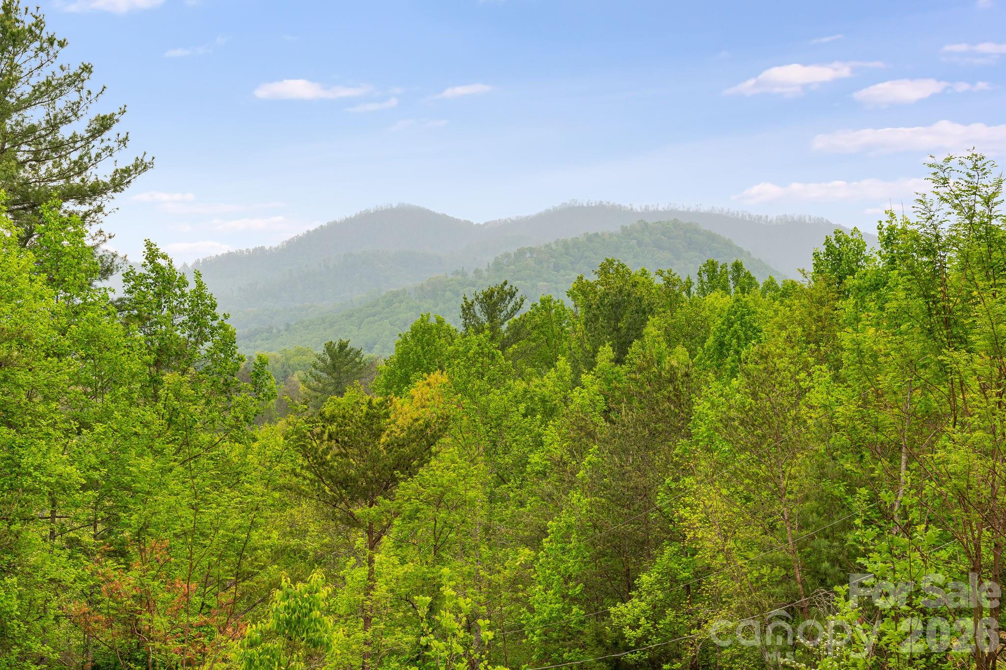 90 High Point Road Weaverville NC 28787