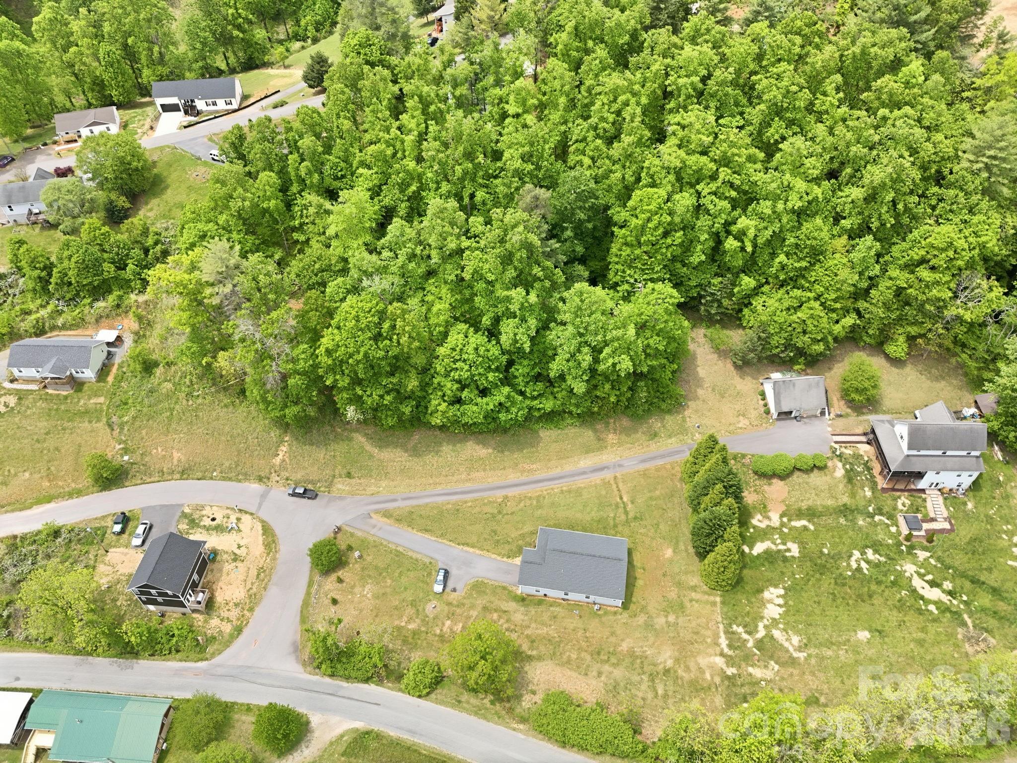 10 Scarlett Ridge Drive Marshall NC 28753