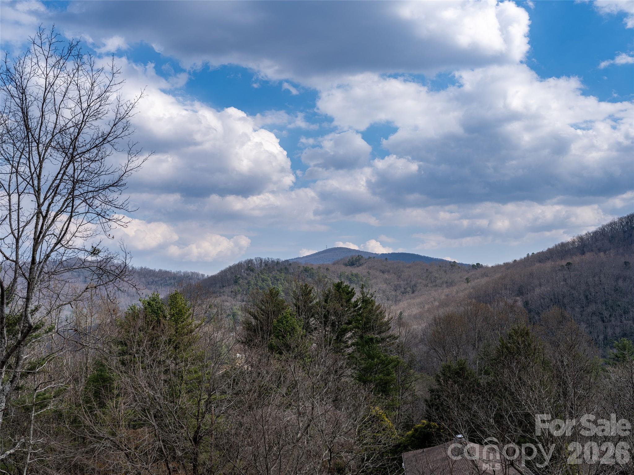54 Weldon Way Fairview NC 28730